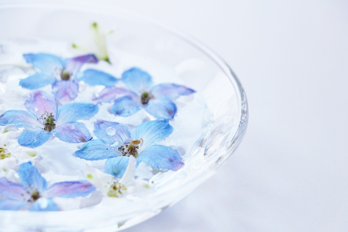 漂浮在水面上的藍色花朵