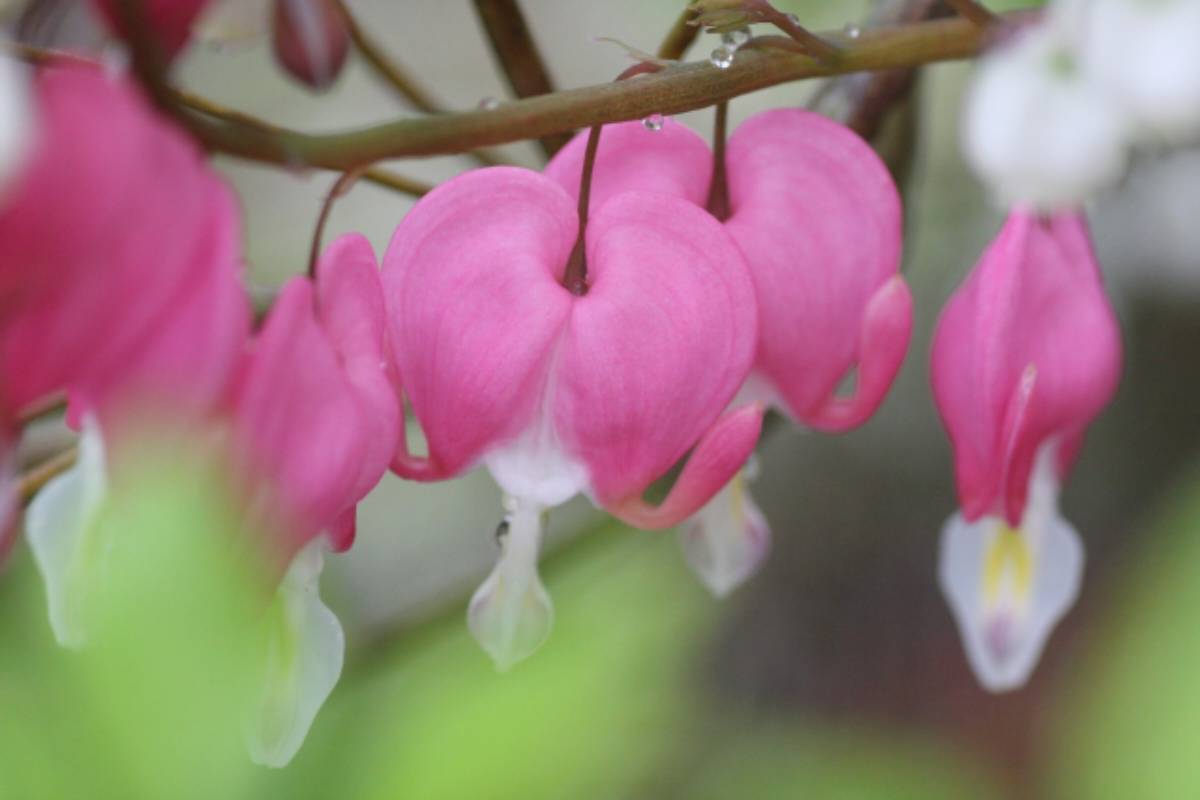 坦然面對，勇敢向前行- 天圓文化｜Richestlife